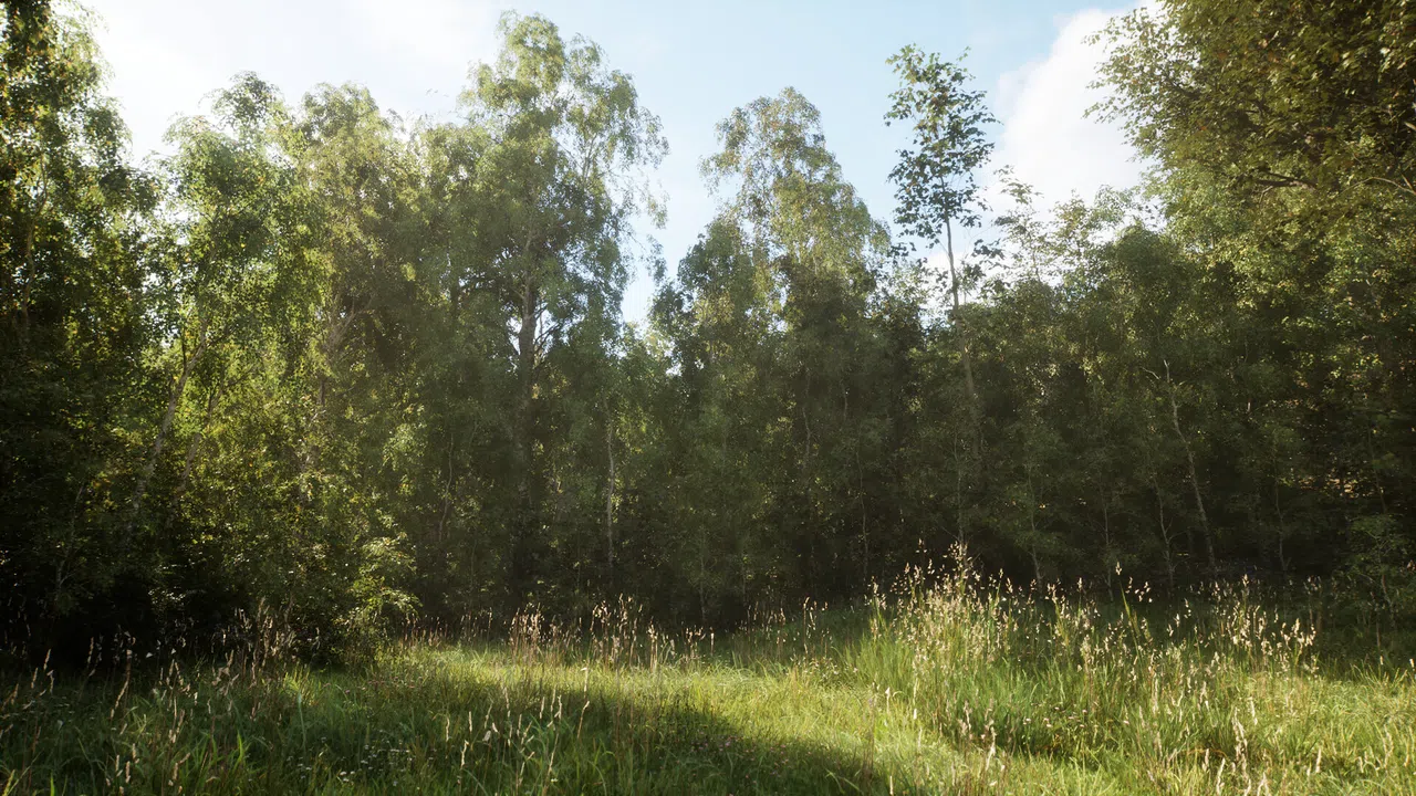 NextVisuals Benchmark Forest Screenshot 6