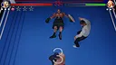 Totally Fair Boxing Screenshot 5