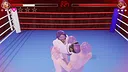 Totally Fair Boxing Screenshot 6