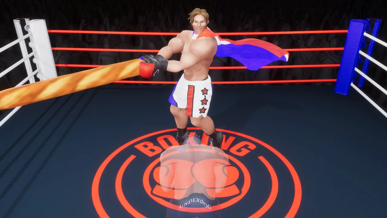 Totally Fair Boxing Screenshot 2