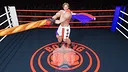 Totally Fair Boxing Screenshot 2