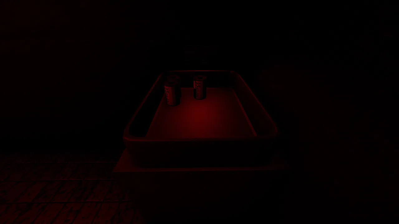 Darkroom Screenshot 4