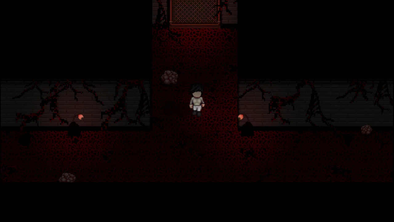 Sanity Protocol Screenshot 0
