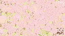 LetDeco Screenshot 4