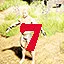 Find gump level 7 icon