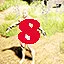 Find gump level 8 icon