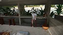 Her Smelly Feet Screenshot 4