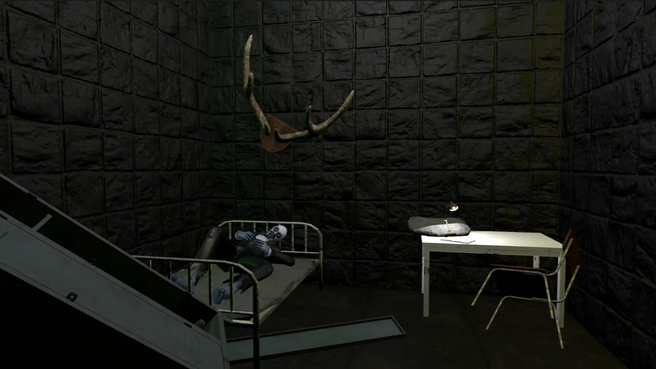 Twelve Mental Patients Screenshot 3