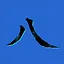 Welcome! icon