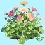 Fantasy Forest icon