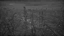 Farm of the unseen Screenshot 10