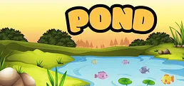 Pond