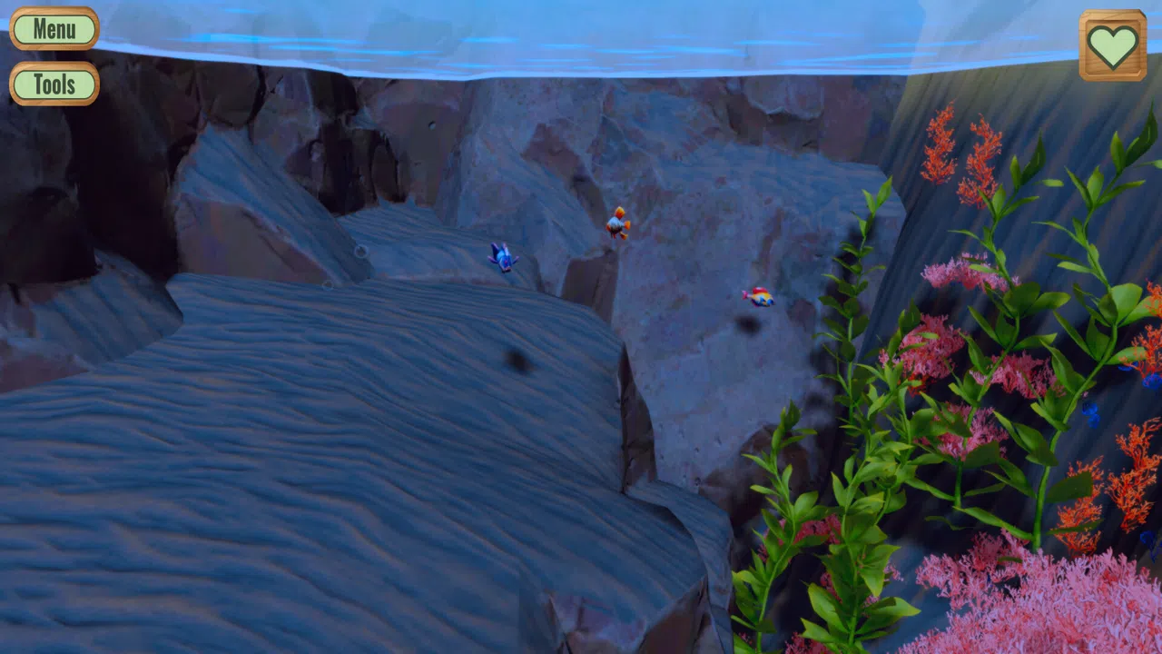Pond Screenshot 5