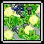 Filthy Rich icon