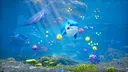 Shark Up Screenshot 4