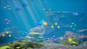 Shark Up Screenshot 1