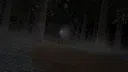 Don't Stop In Red Wood Screenshot 2