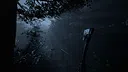 The Dark Forest: Survival Screenshot 0