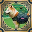 SERVICE DOG icon