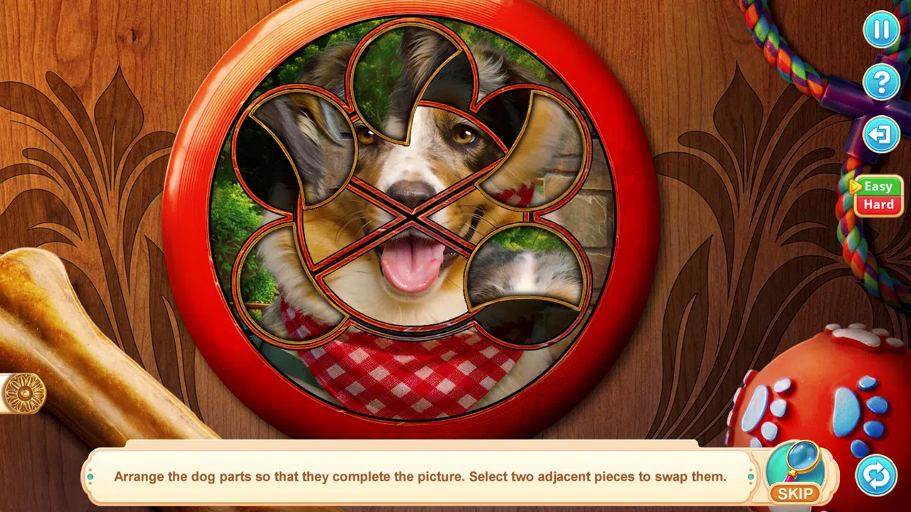 Home for Friends: Beloved Pets Collector's Edition Screenshot 3