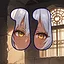 11 level completed icon