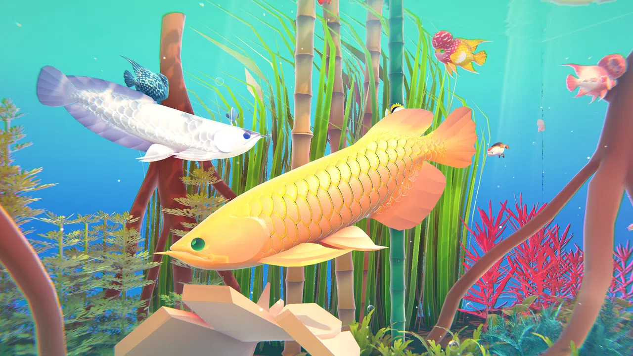 Fishplay Screenshot 3