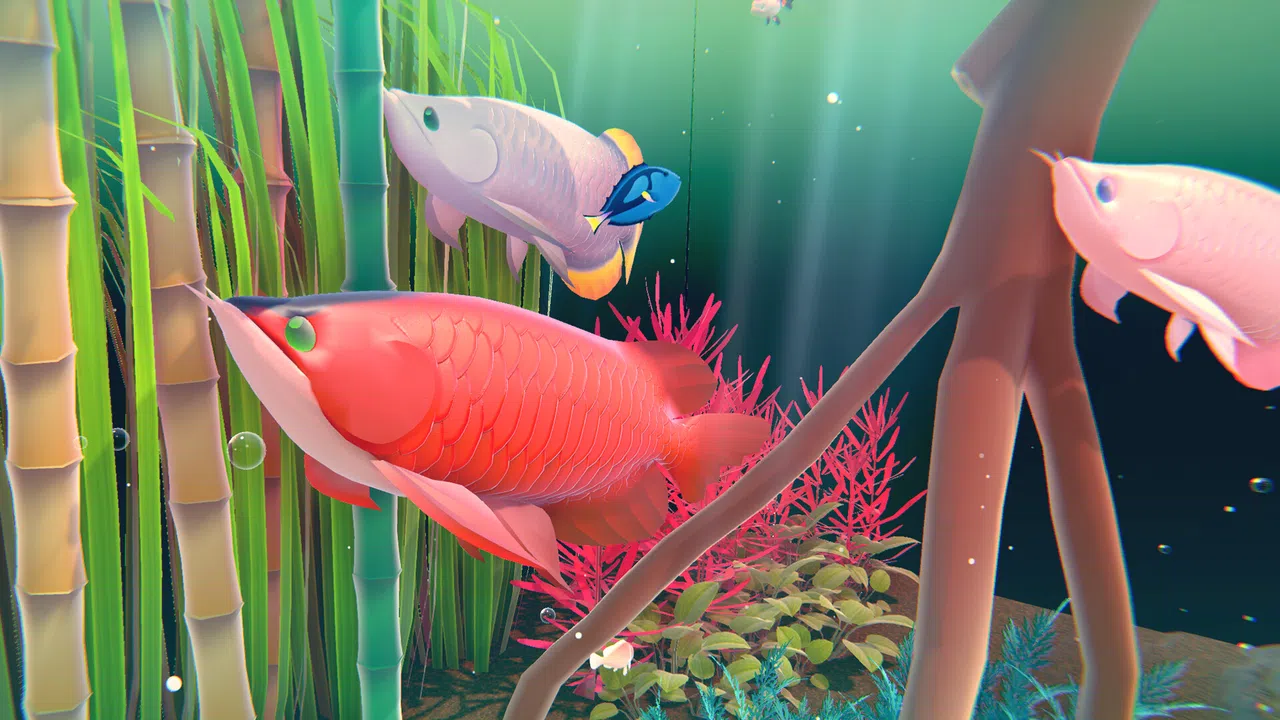 Fishplay Screenshot 4