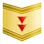 Lieutenant General icon