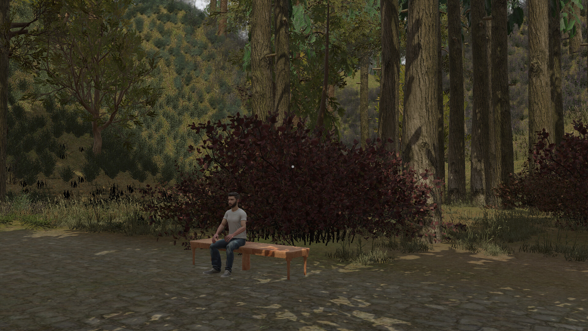 Whispers of Appalachia Screenshot 11