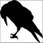 Cinci Sute icon