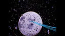 Tentaphage Screenshot 6
