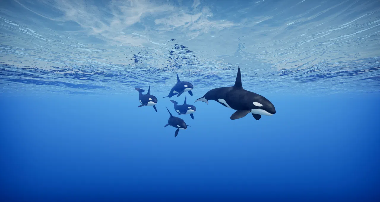 Primal Blue Screenshot 0