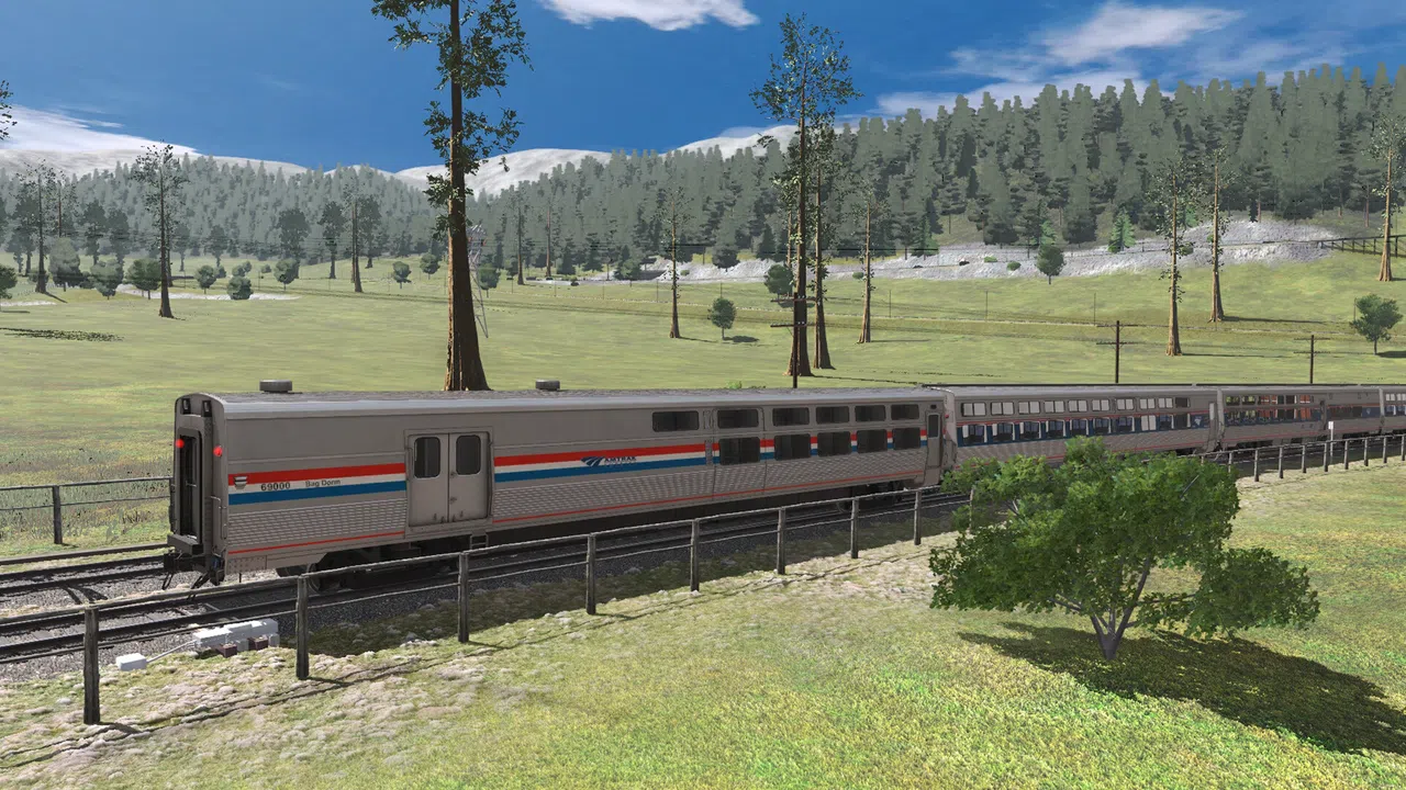 Trainz 2022 DLC - Pro Train: Amtrak Viewliner I & II Screenshot 12