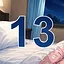 13 level completed icon