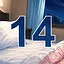 14 level completed icon