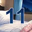 11 level completed icon