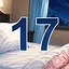 17 level completed icon