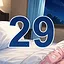 29 level completed icon