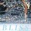 BLISS icon