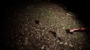 The Hollow Path VR Screenshot 1