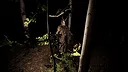 The Hollow Path VR Screenshot 3