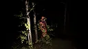 The Hollow Path VR Screenshot 0