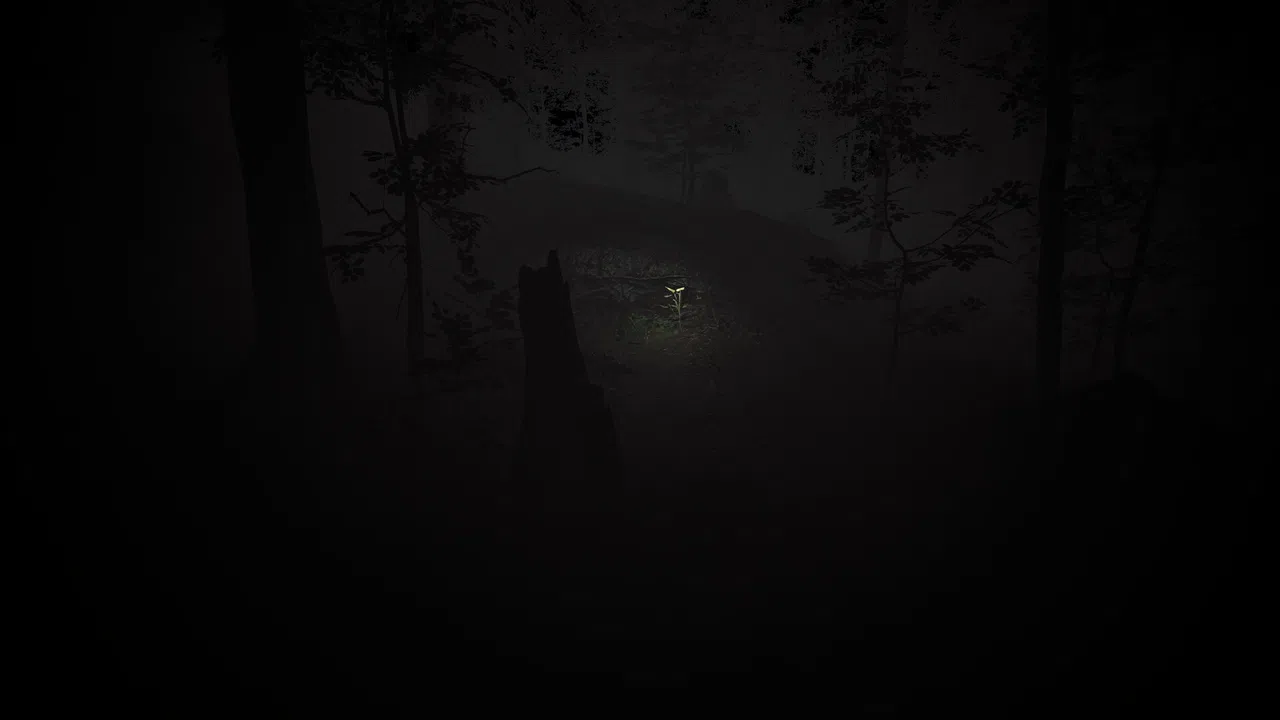 The Hollow Path VR Screenshot 2