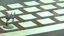 inScreen Dream Keyboard Screenshot 5