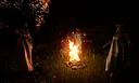 Order of Wallachia Screenshot 2