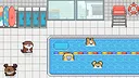 Maltese's Fluffy Onsen - Summer Fever Screenshot 3