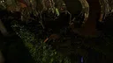 Drunken Wolf Screenshot 4