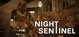 Night Sentinel