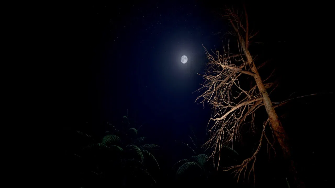 Red Light White Light Demo Screenshot 1