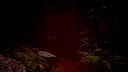 Red Light White Light Demo Screenshot 4